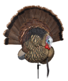 Avian X Trophy Tom Turkey Decoy